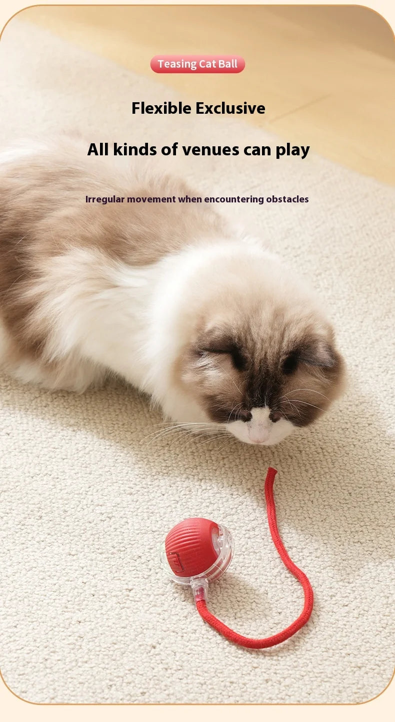 Rotating Small Ball Pet Toy