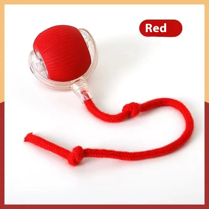 Rotating Small Ball Pet Toy