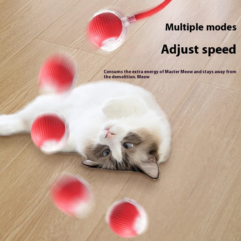 Rotating Small Ball Pet Toy
