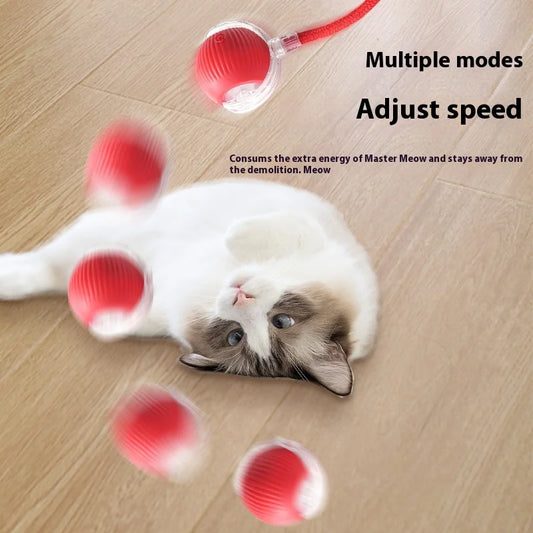 Rotating Small Ball Pet Toy