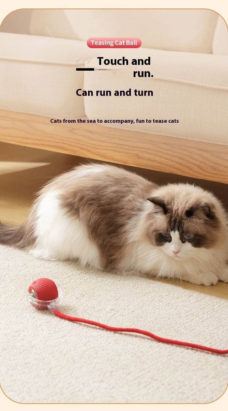 Rotating Small Ball Pet Toy