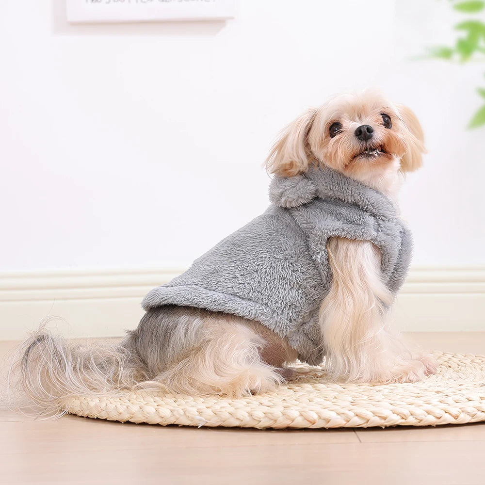 Winter Cat/Dog Clothes