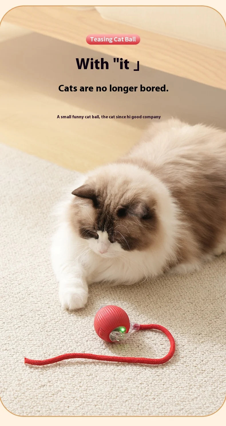 Rotating Small Ball Pet Toy