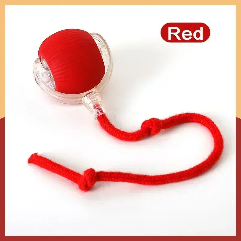Rotating Small Ball Pet Toy