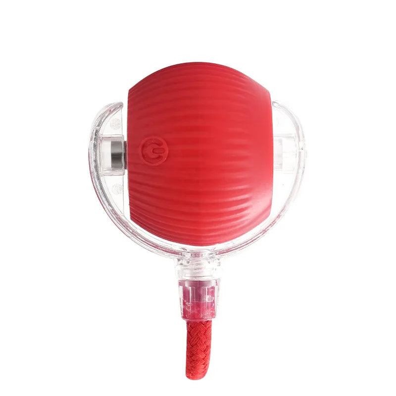 Rotating Small Ball Pet Toy